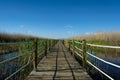 A sheltered wooden boardwalk extends through a wildlife sanctuary