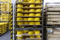 Shelves with cheese at a cheese warehouse Close up Royalty Free Stock Photo