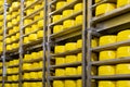 Shelves with cheese at a cheese warehouse Close up Royalty Free Stock Photo