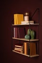 Shelves with different books, lamp and ceramic cacti on brown wall Royalty Free Stock Photo