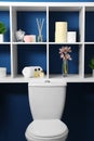 Shelves with different stuff on blue wall above toilet bowl