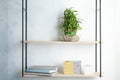 Shelves with green lucky bamboo in glass bowl Royalty Free Stock Photo