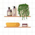 Shelves with natural organic cosmetics, houseplant, towel. Set of cosmetic products in bottles, jars, tubes for skin