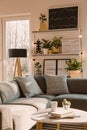 Shelves with plants and framed posters above a cozy, gray corner