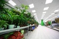 Shelves on side with variety of pottery plants