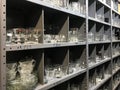 Shelves of used clear glassware dishes in thrift shop Royalty Free Stock Photo