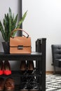Shelving unit with stylish shoes and bag near grey wall in hallway Royalty Free Stock Photo
