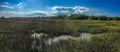 Shem Creek, Charleston, SC. Royalty Free Stock Photo