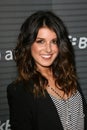 Shenae Grimes Royalty Free Stock Photo