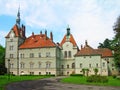 Shenborn castle, Carpathians, Ukraine Royalty Free Stock Photo