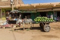 SHENDI, SUDAN - MARCH 6, 2019: Donkey cart with water melons in Shendi, Sud