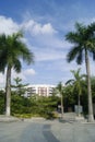 Shenzhen Baoan park landscape