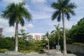 Shenzhen Baoan park landscape