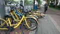 Shenzhen, China: the current situation of street bike sharing, some has been damaged