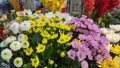 Shenzhen, China: florists display many varieties of fresh flowers for sale in a shopping mall