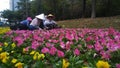 Shenzhen, China: garden workers planting flowers.