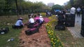 Shenzhen, China: garden workers planting flowers.