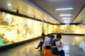 Shenzhen, China: imitation of ancient mural landscape