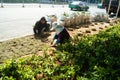 Shenzhen, China: planting trees and grass in the green belt
