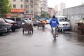 Shenzhen, China: sanitation workers hauling garbage truck