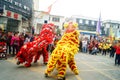 Shenzhen, China: temple festival parade, lion dance activities