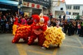 Shenzhen, China: temple festival parade, lion dance activities