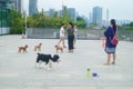 Shenzhen, China: women walk their dogs outdoors and play with their pets.