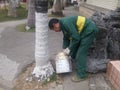 Shenzhen, China: Workers brush the roots of trees with lime water to prevent insects