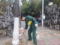 Shenzhen, China: Workers brush the roots of trees with lime water to prevent insects