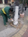 Shenzhen, China: Workers brush the roots of trees with lime water to prevent insects