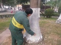 Shenzhen, China: Workers brush the roots of trees with lime water to prevent insects