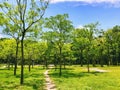 Shenzhen lotus park trees forest Royalty Free Stock Photo