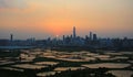 Shenzhen skyline