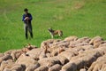 Sheperd, Hortobagy National Park, Hungary