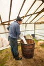 Shepherd preparing milk for cheese making at the farm in Transylvania Roumania