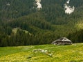 Shepherd cottage in Romania Royalty Free Stock Photo