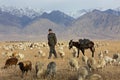 Shepherd in the countryside, Kazakhstan