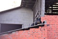 A shepherd dog lies on the roof of a red brick house and looks in front of