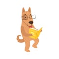 Shepherd Dog Smiling Bookworm Zoo Character Wearing Glasses And Reading A Book Cartoon Illustration Part Of Animals In Royalty Free Stock Photo