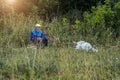 a shepherd grazes domestic goats in a green meadow