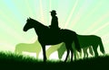 Shepherd grazes horses in pasture. Picture silhouette. Farm pets. Animals domestic traditional. On background sunrise