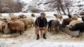 Shepherd grazing his sheep, Bitlis, Turkey