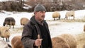 Shepherd grazing his sheep, Bitlis, Turkey Royalty Free Stock Photo