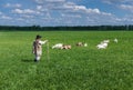 Shepherd and herd of goats on a pasture