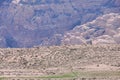 A shepherd herding sheep in Jordan Royalty Free Stock Photo