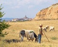 Shepherd near Viana Royalty Free Stock Photo