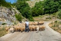 Shepherd with his herd in the Mountains near Zagori Royalty Free Stock Photo
