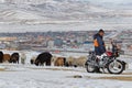 A shepherd and his herd of sheep in the hills over the city Royalty Free Stock Photo