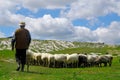 Shepherd with his sheep