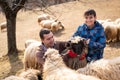 Shepherd holding a lamb with a flock of sheep standing in the foreground in a gated pasture Royalty Free Stock Photo